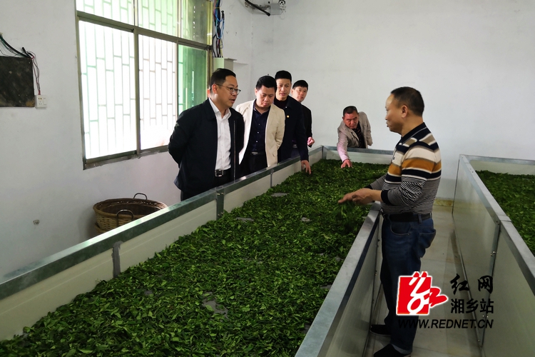 彭瑞林赴毛田鎮(zhèn)調(diào)研鄉(xiāng)村振興戰(zhàn)略實施情況(圖2)