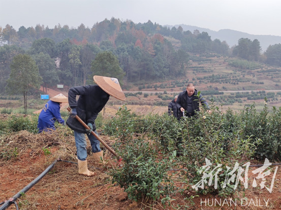 【輝煌十三五】移民“移”出新生活 產(chǎn)業(yè)“扶”起新希望(圖2)